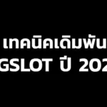 เทคนิคการเดิมพัน PGSLOT 2025